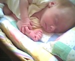 05050003.JPG 14.75 KB 352 x 288 5/5/2002 