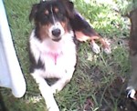 05050008.JPG 22.78 KB 352 x 288 5/5/2002 
